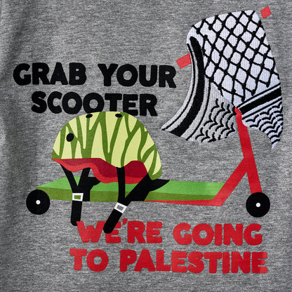 Grab Your Scooter Grey